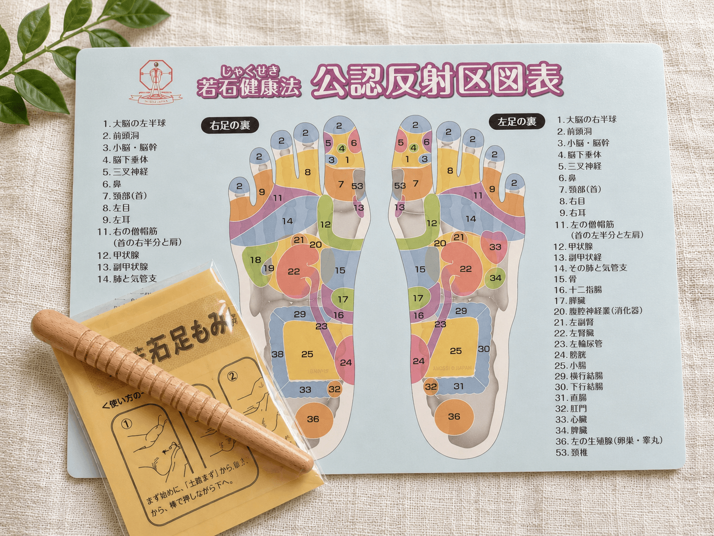 足もみ棒と若石公認反射区図表