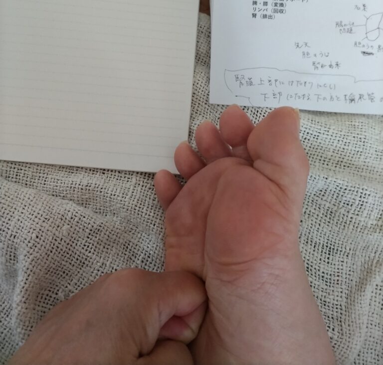 勉強会の翌日に