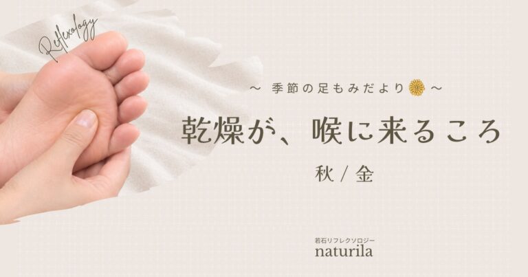 乾燥が、喉に来るころ｜喉・気管の反射区の場所と揉み方